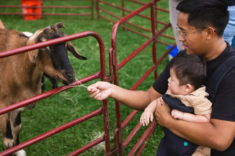 Family feeding an animal at the festival petting zoo in Portland